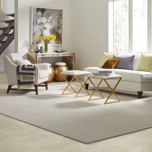 Reimagine your Space with Carpets By Direct area rug Inspiration gallery