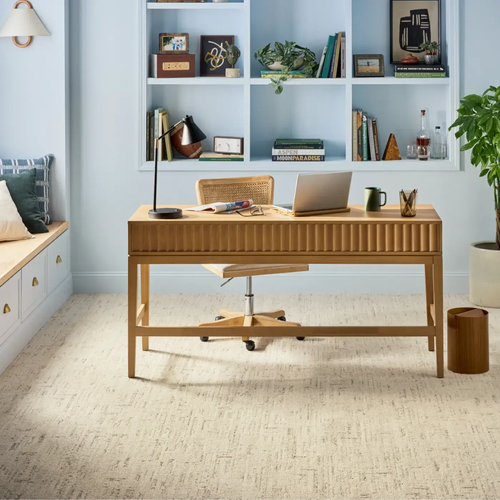 Reimagine your Space with Carpet By Direct's carpet Inspiration gallery