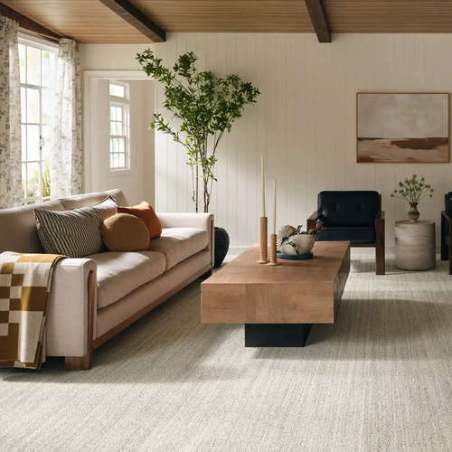 Reimagine your Space with Carpet By Direct's carpet Inspiration gallery