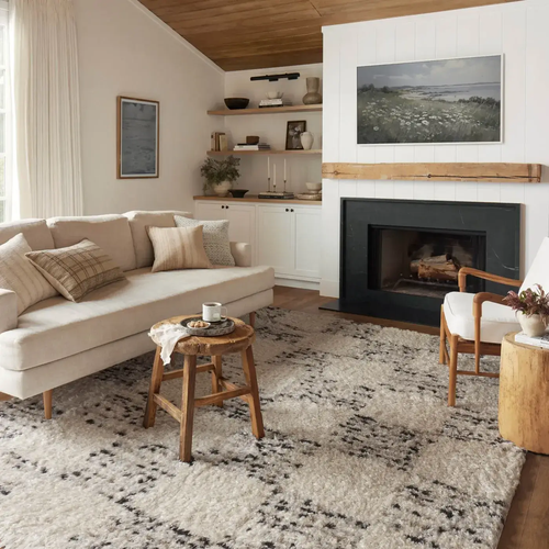 Reimagine your Space with Carpets By Direct area rug Inspiration gallery