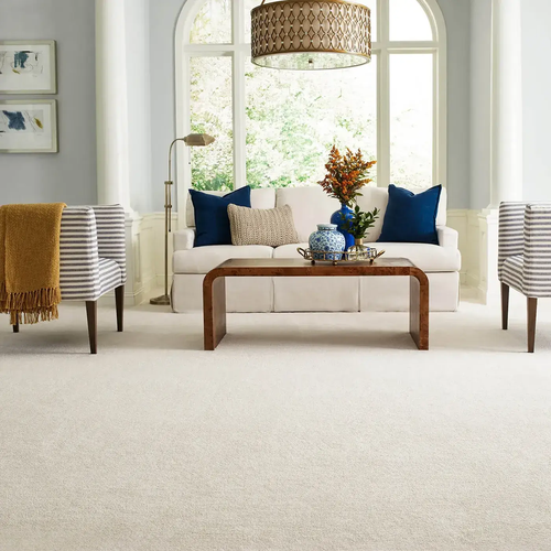 Reimagine your Space with Carpet By Direct's carpet Inspiration gallery