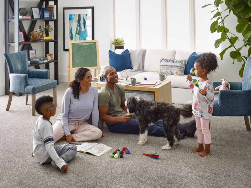 blog_524_livingroomcarpetfamilydog