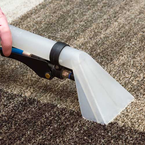 Carpet Cleaning | Carpets by Direct